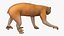 Lemur Slow Loris Rigged for Cinema 4D