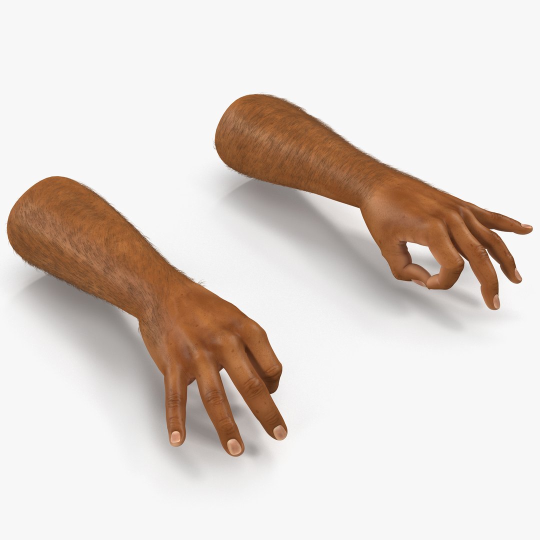 African Man Hands 2 with Fur Pose 5 3D Model 3D model preview