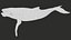 Humpback Whale Rigged PBR model