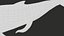 Humpback Whale Rigged PBR model