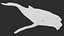 Humpback Whale Rigged PBR model
