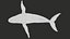 Humpback Whale Rigged PBR model