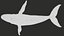 Humpback Whale Rigged PBR model