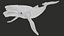 Humpback Whale Rigged PBR model