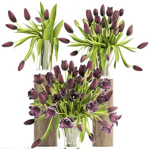 3D bouquet tulips