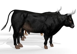 rigged bull animation 3D model