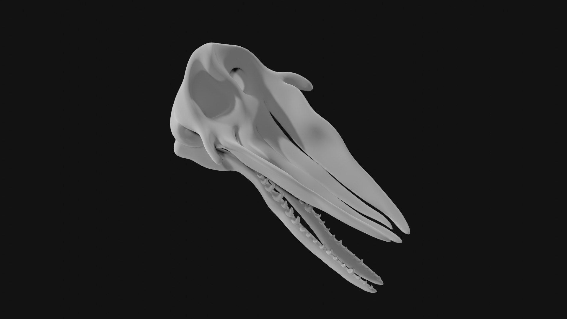 3D Sperm Whale Skull - TurboSquid 1978155