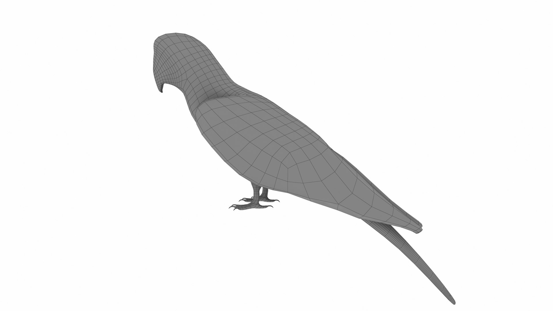Red Macaw Parrot 3D https://p.turbosquid.com/ts-thumb/1s/95Hk0E/MZ/redmacawparrot9/jpg/1736192502/1920x1080/fit_q87/ef1c12eb210b9883ce3b5681721853fd6f7cc2d8/redmacawparrot9.jpg