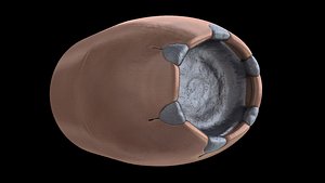 9mm hollow point bullet 3d model