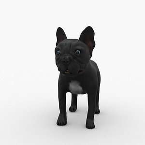 Rigged French Bulldog 3D model