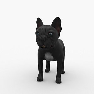 Rigged French Bulldog