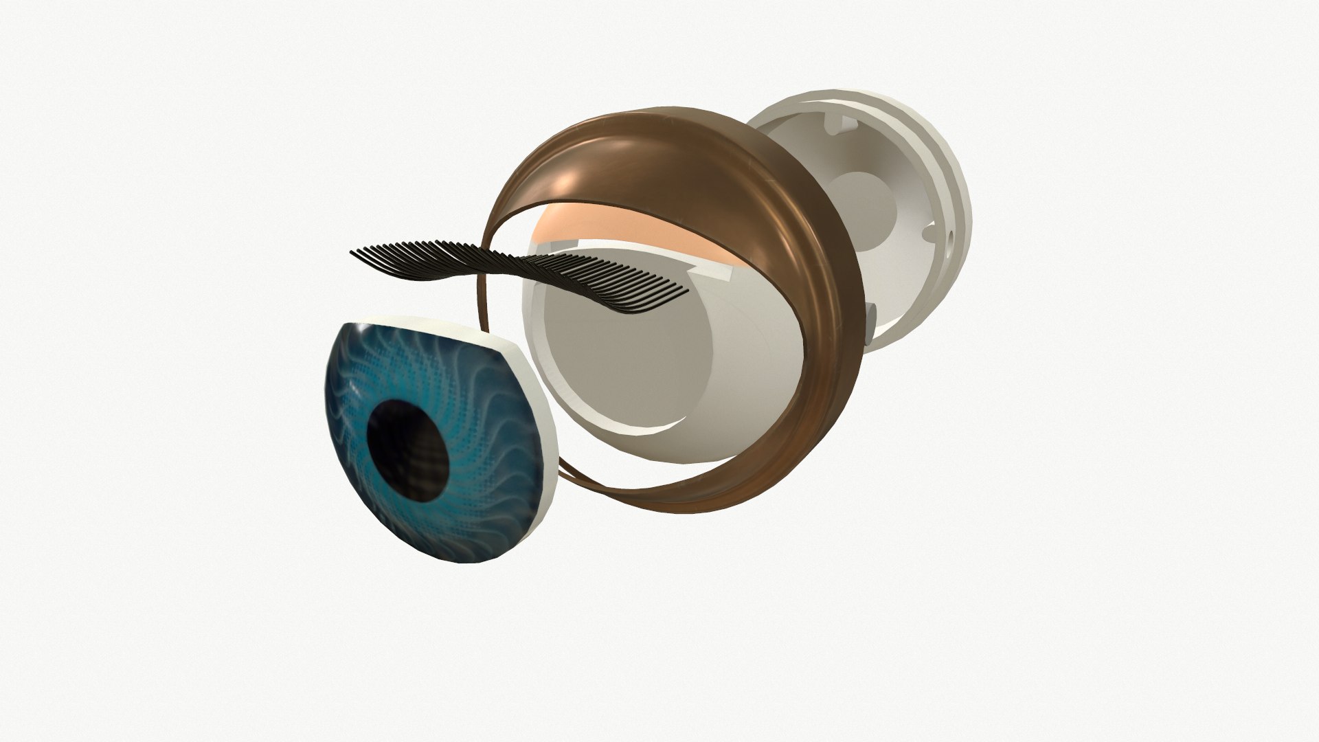 doll eye mechanism 3D https://p.turbosquid.com/ts-thumb/1s/No8IXA/JN/eye16_6/png/1725009471/1920x1080/fit_q87/1c3f1d81507d709a62dd6099889da328603a5b93/eye16_6.jpg