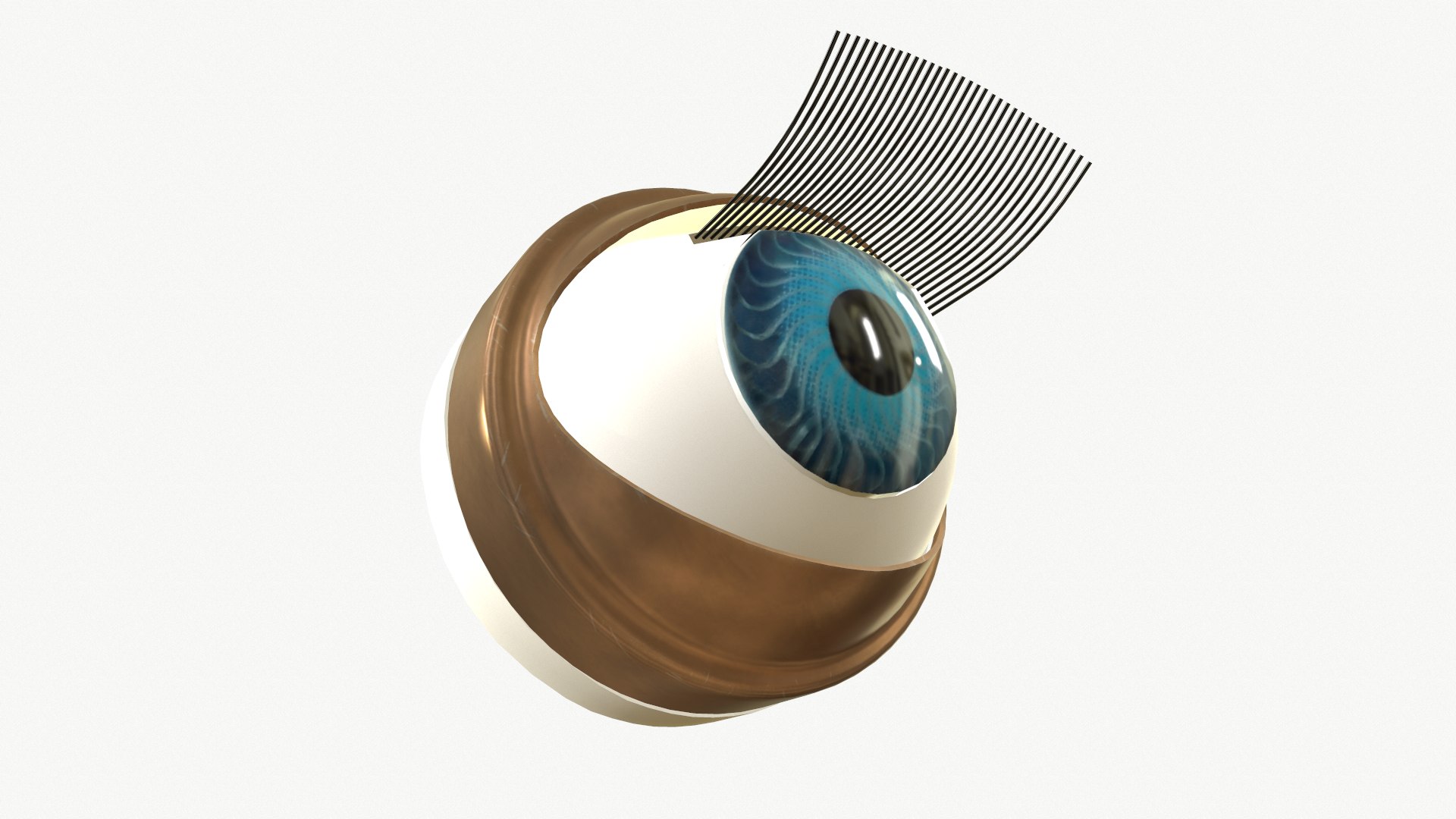 doll eye mechanism 3D https://p.turbosquid.com/ts-thumb/1s/No8IXA/tn/eye16_7/png/1725009472/1920x1080/fit_q87/516a73ca1abc62036e7afc17a054d11e7a49ba34/eye16_7.jpg