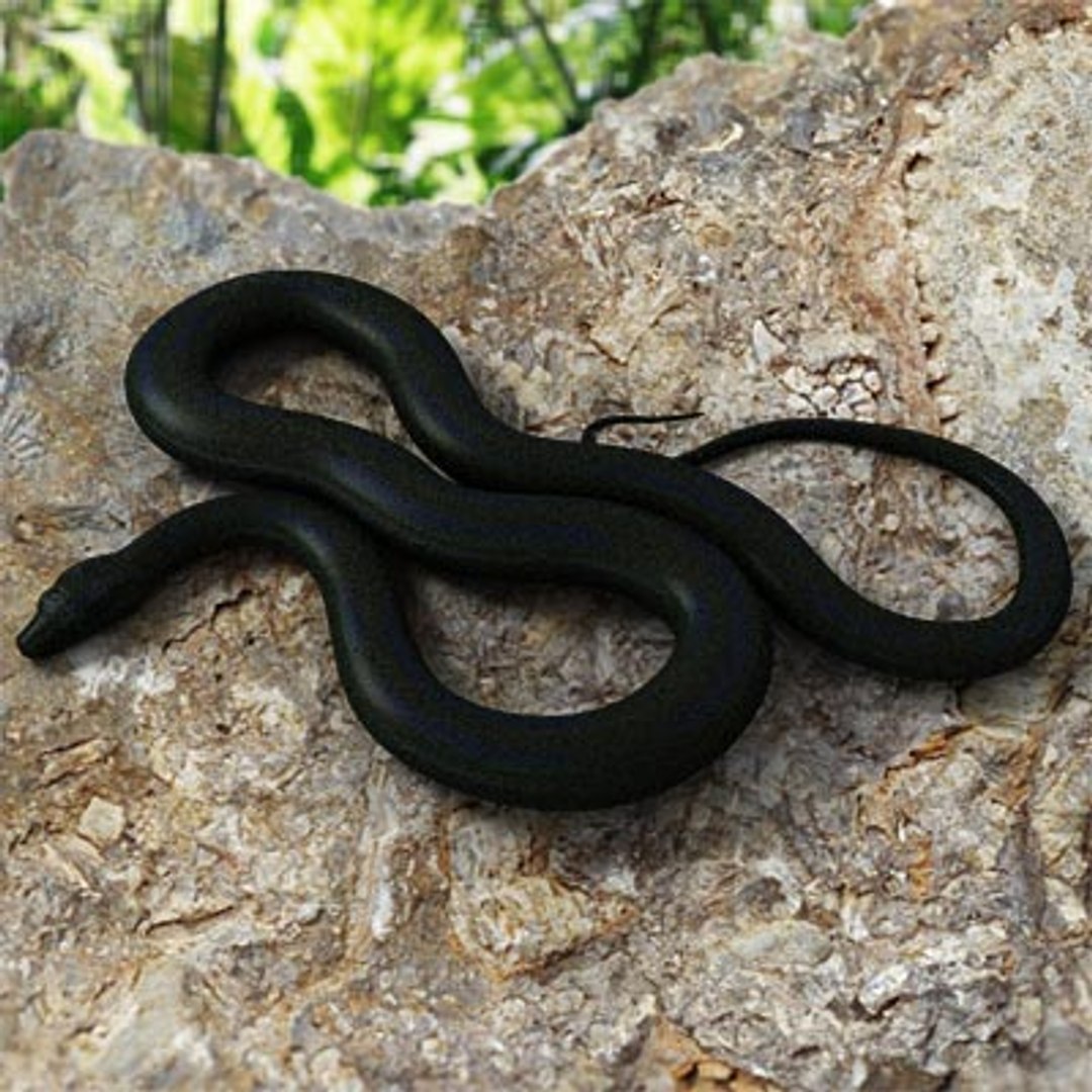 Black Smooth Python Snakes 3d Model