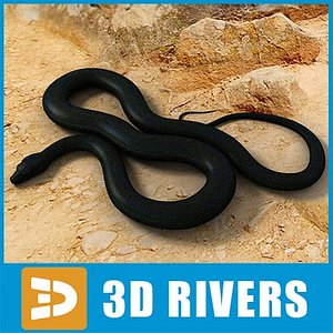 black smooth python snakes 3d model