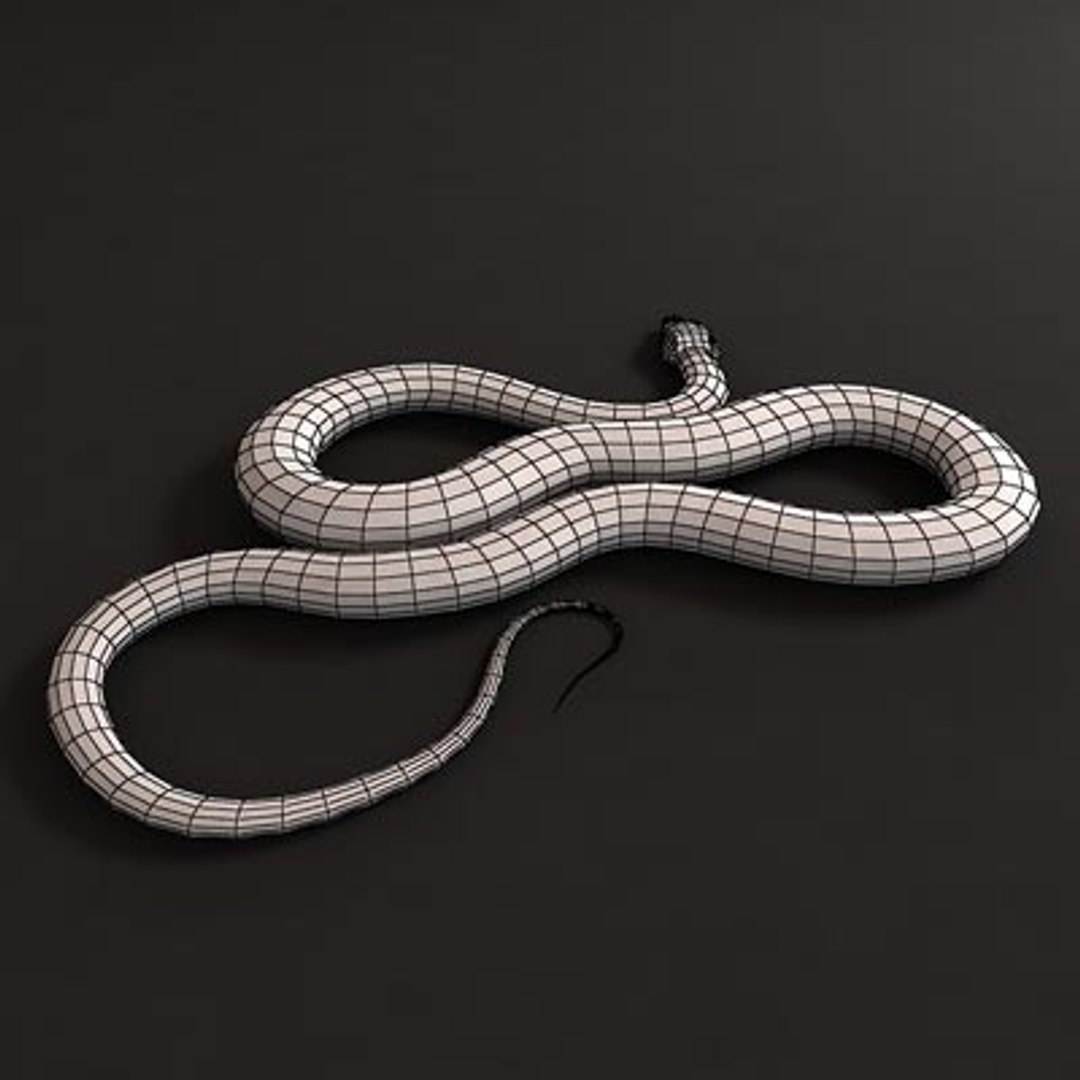 Black Smooth Python Snakes 3d Model