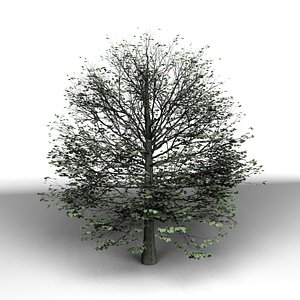 tree 3d max