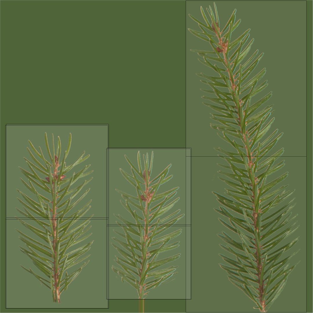 3D christmas tree elf 4 model https://p.turbosquid.com/ts-thumb/1s/sfleho/yEro6HPy/thumbnail_pine_needs_uvs/png/1542579791/1920x1080/fit_q87/d32f0bda40def35ddee80f2a25fb09f2799386f3/thumbnail_pine_needs_uvs.jpg