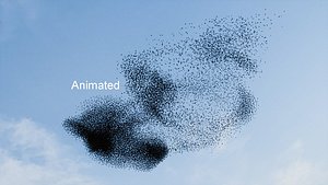 Animated Flock of Birds Swarm 3D model