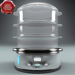 3d deni steamer model