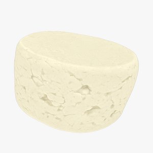 Fresh Cheese - Real-Time 3D Scanned 3D model