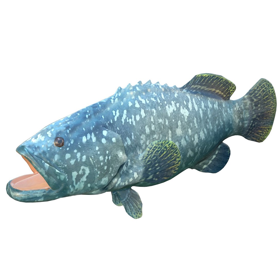3D Model Goliath Grouper Fish - TurboSquid 2512906