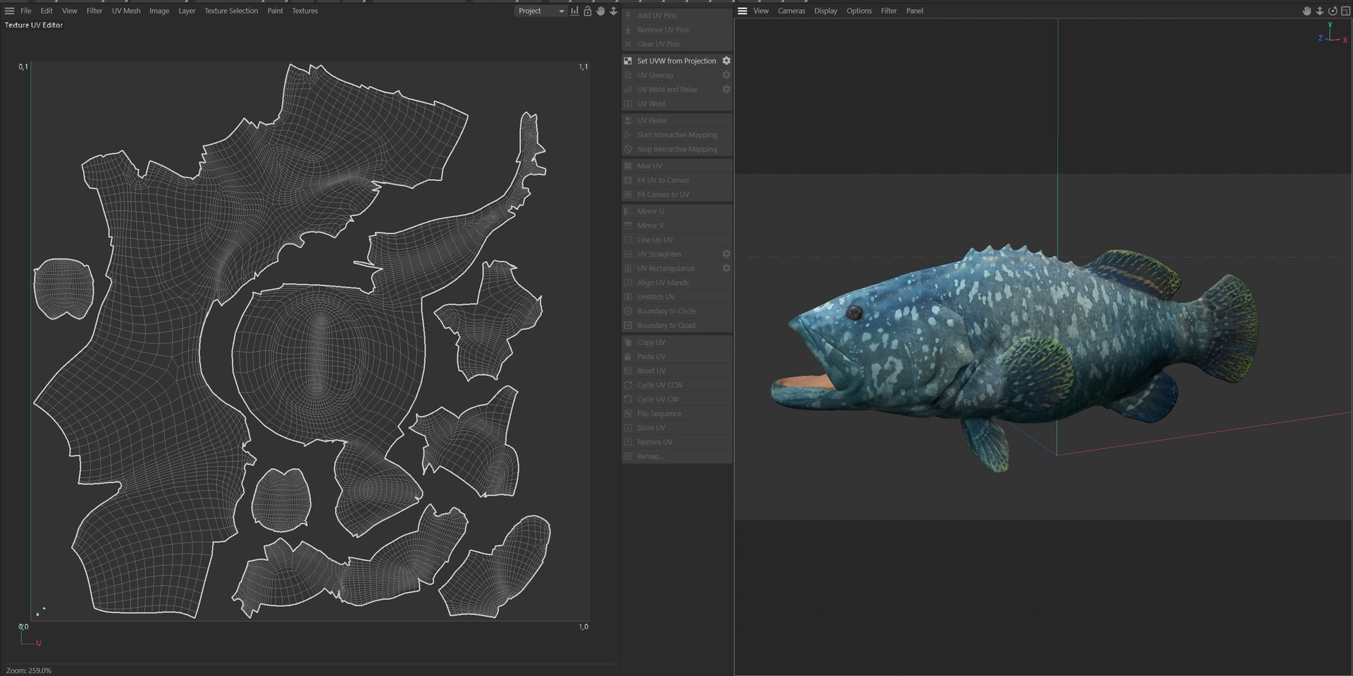 3D Model Goliath Grouper Fish - TurboSquid 2512906