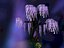 Crystal tree