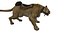 Puma Animated