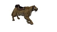 Puma Animated