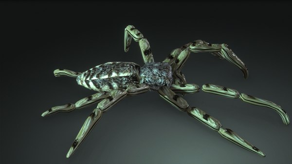 3D SUPER SPIDER 3D MODEL RIGGED