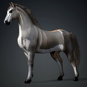 3D Horse-A4