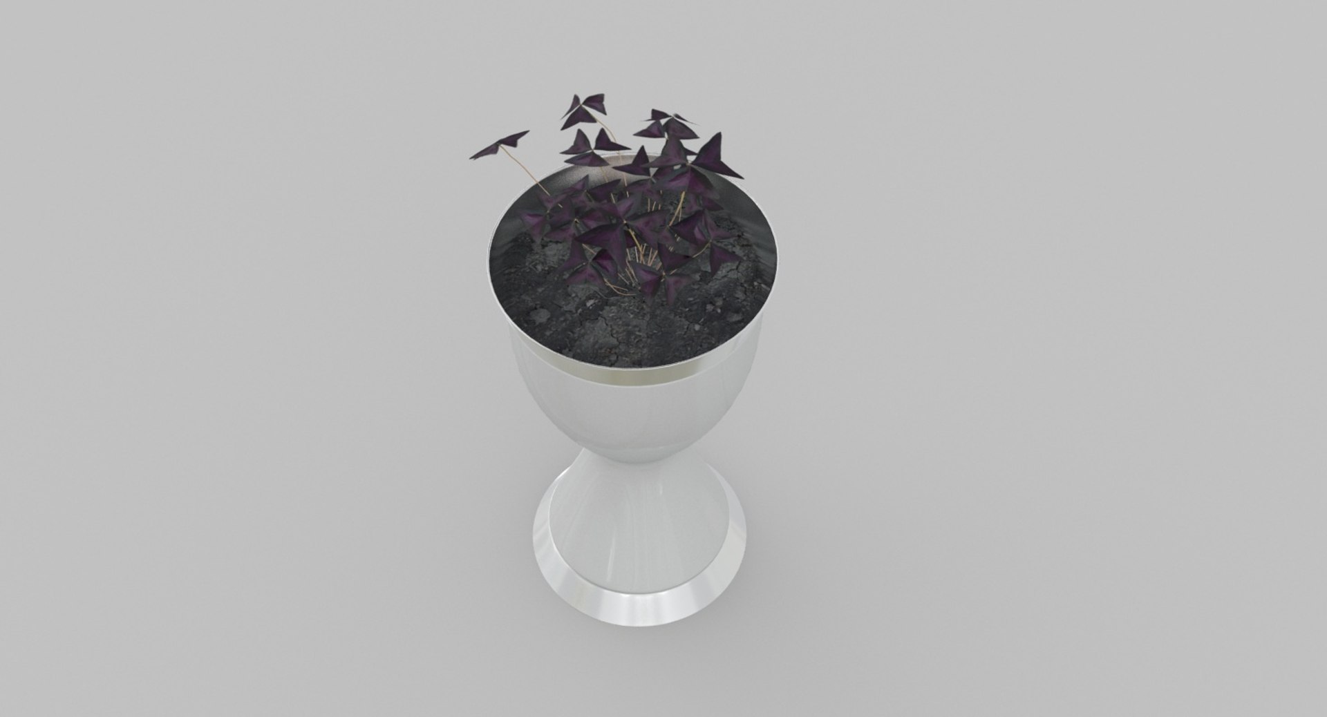 3D concept oxalis flowerpot model https://p.turbosquid.com/ts-thumb/1t/jHnSSh/Ruf2cVB1/2/jpg/1567409605/1920x1080/fit_q87/9370aaa4884cf494092b100aee3315c564575d49/2.jpg