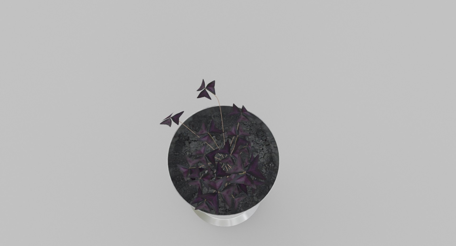 3D concept oxalis flowerpot model https://p.turbosquid.com/ts-thumb/1t/jHnSSh/dKAFE78i/6/jpg/1567409671/1920x1080/fit_q87/ef957fe53291b841d1383eb32be69c820098ce68/6.jpg