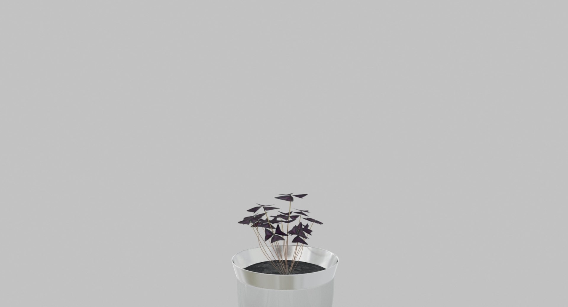 3D concept oxalis flowerpot model https://p.turbosquid.com/ts-thumb/1t/jHnSSh/iZEjIpxg/3/jpg/1567409622/1920x1080/fit_q87/a8da34fe99460886d5972c363e7ea941d7b2494b/3.jpg