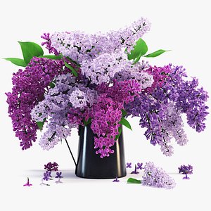 lilac plant flower 3d model
