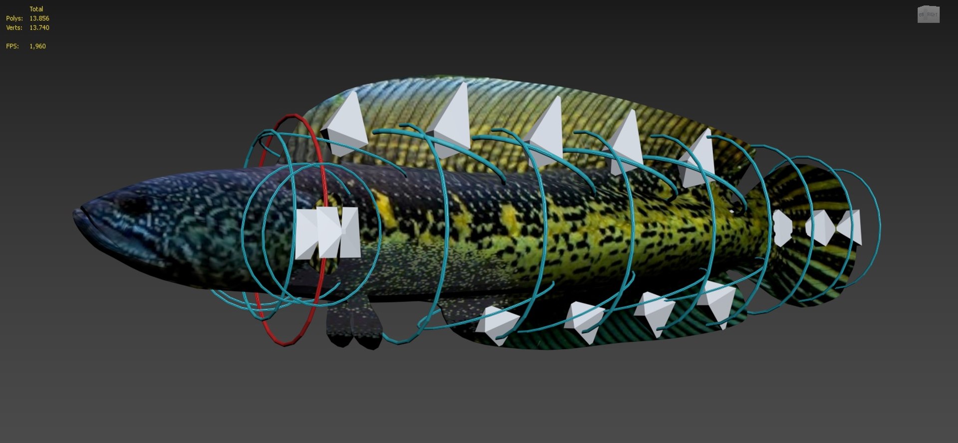 Fish Sneakhead Model - TurboSquid 1470280