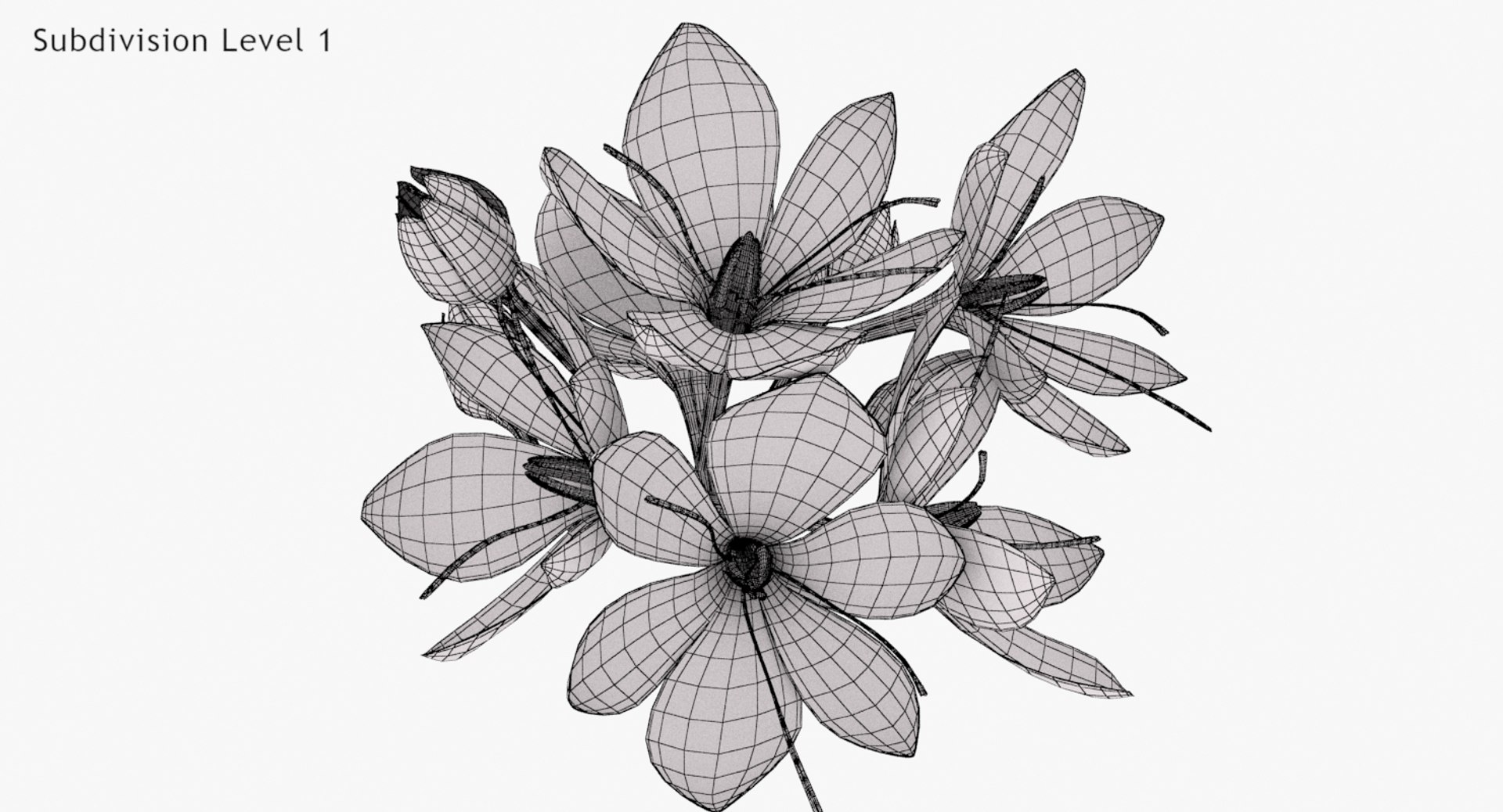 3D crocus blossom https://p.turbosquid.com/ts-thumb/1t/rdfFlk/BI0MHVtA/un_lodone0001/jpg/1563696018/1920x1080/fit_q87/4182df70178d279c55c7043d1e91c88bd409665f/un_lodone0001.jpg