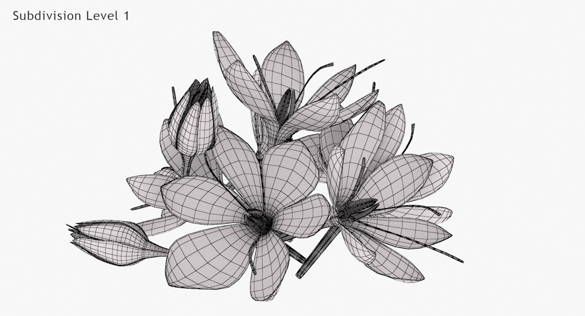 3D crocus blossom https://p.turbosquid.com/ts-thumb/1t/rdfFlk/IFSbhLoH/un_lodone0002/jpg/1563696018/1920x1080/fit_q87/ea3d92f45c0faf2fc09543f117a38464f68b2b82/un_lodone0002.jpg