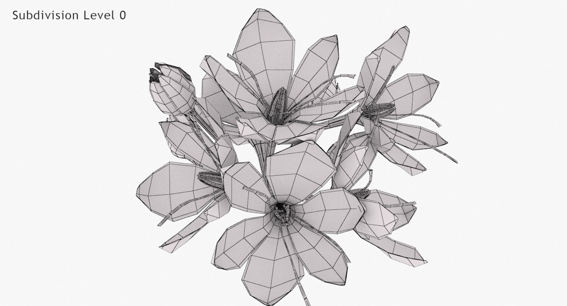 3D crocus blossom https://p.turbosquid.com/ts-thumb/1t/rdfFlk/IizXVCZ0/un_wwire0001/jpg/1563696018/1920x1080/fit_q87/0f9cc485cd288fe121477b00c5230e6b014acf89/un_wwire0001.jpg