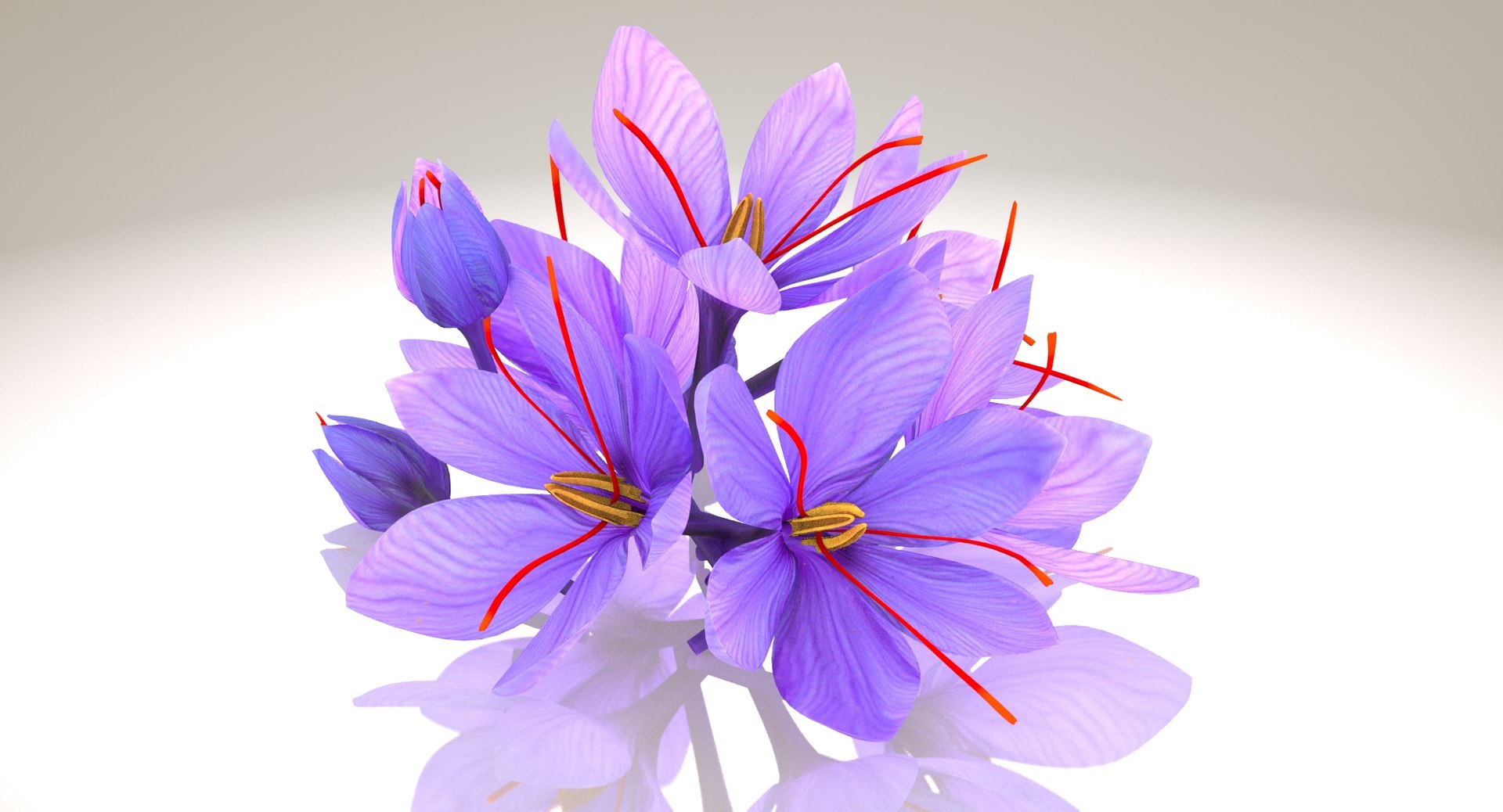 3D crocus blossom https://p.turbosquid.com/ts-thumb/1t/rdfFlk/JdR1muB1/un_productshot0002/jpg/1561563332/1920x1080/fit_q87/35813f530b54e182e91dfaa5559d2dcff447782f/un_productshot0002.jpg