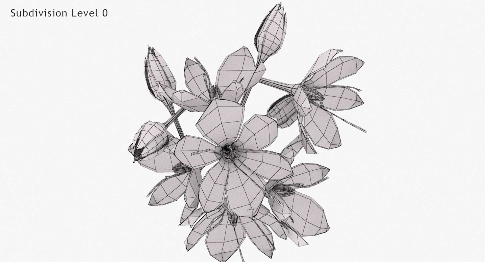3D crocus blossom https://p.turbosquid.com/ts-thumb/1t/rdfFlk/PT9fzOsG/un_wwire0003/jpg/1563696018/1920x1080/fit_q87/416c61ad211bac5daaa8a865acc0c1c3f3693b15/un_wwire0003.jpg