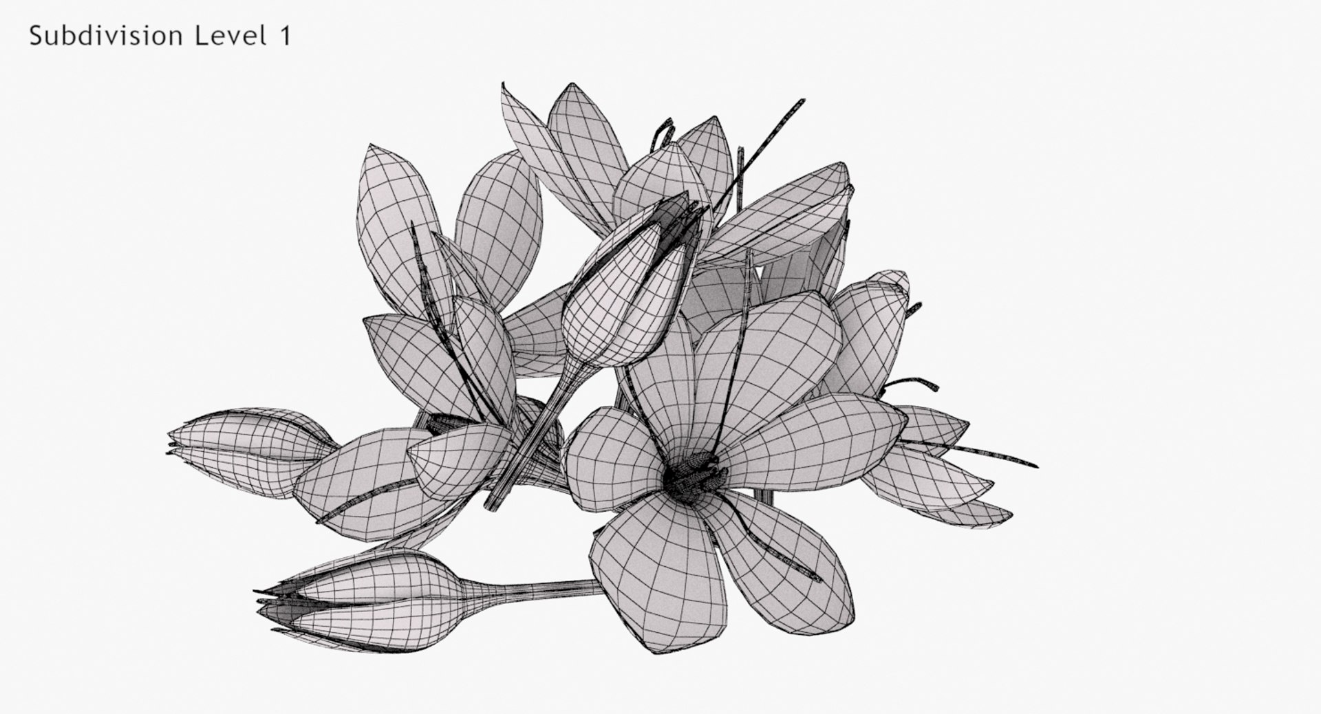 3D crocus blossom https://p.turbosquid.com/ts-thumb/1t/rdfFlk/QFsLbWdc/un_lodone0004/jpg/1563696018/1920x1080/fit_q87/3fba8a9ead6998419ad315f3978eeeac9e853857/un_lodone0004.jpg