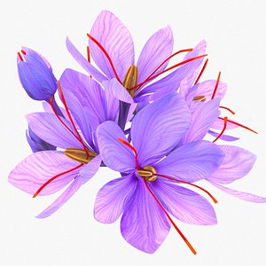 3D crocus blossom