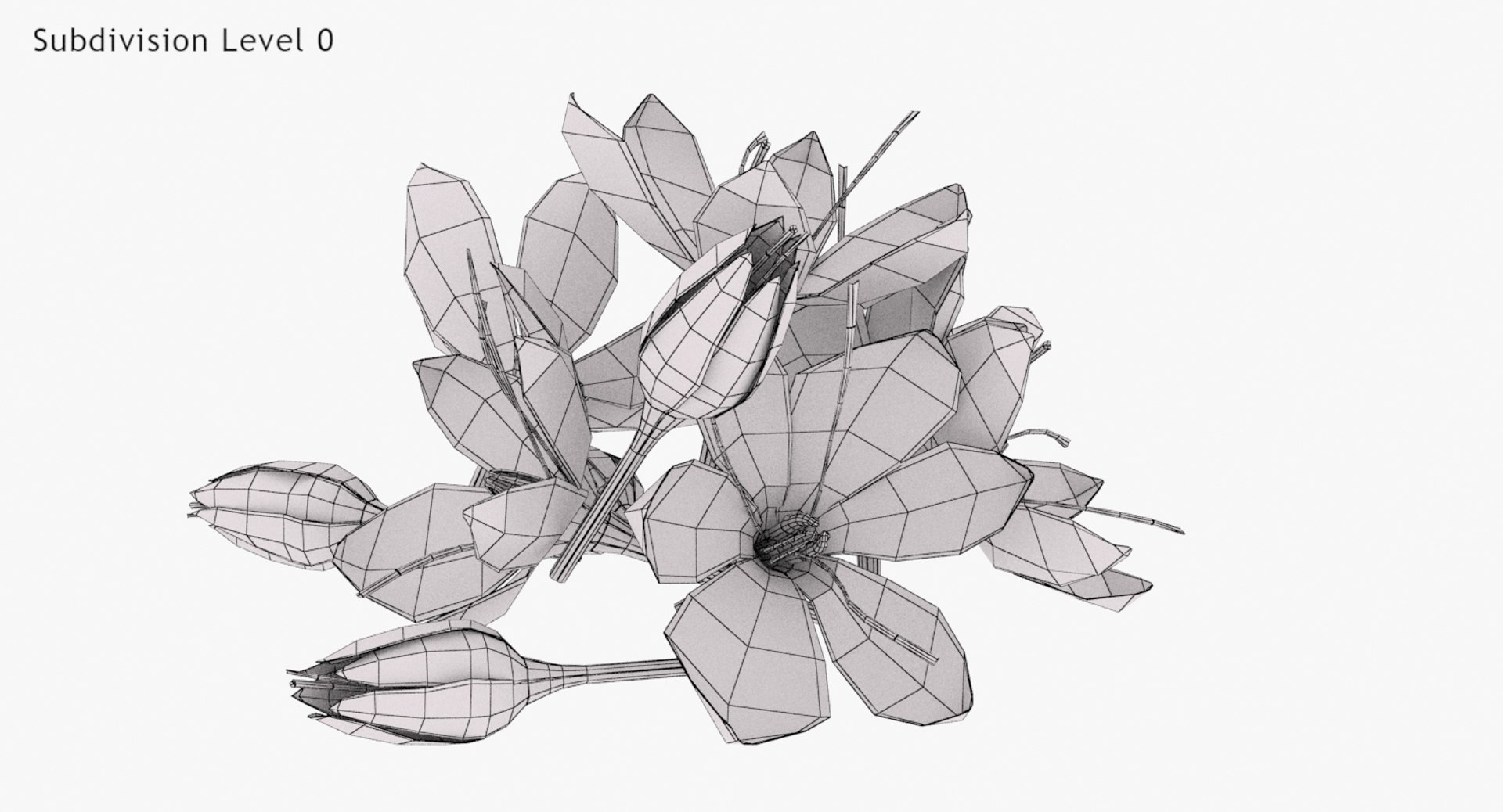 3D crocus blossom https://p.turbosquid.com/ts-thumb/1t/rdfFlk/Rv0wfry1/un_wwire0004/jpg/1563696018/1920x1080/fit_q87/9660d900431f615ed18e5b6a0719e21fa5142893/un_wwire0004.jpg