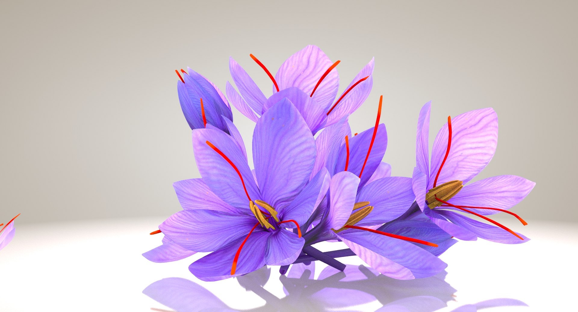 3D crocus blossom https://p.turbosquid.com/ts-thumb/1t/rdfFlk/TJOqXi42/un_productshot0004/jpg/1561563332/1920x1080/fit_q87/ece358fb20fda14cfdc6e15d9b485373004cfbfa/un_productshot0004.jpg