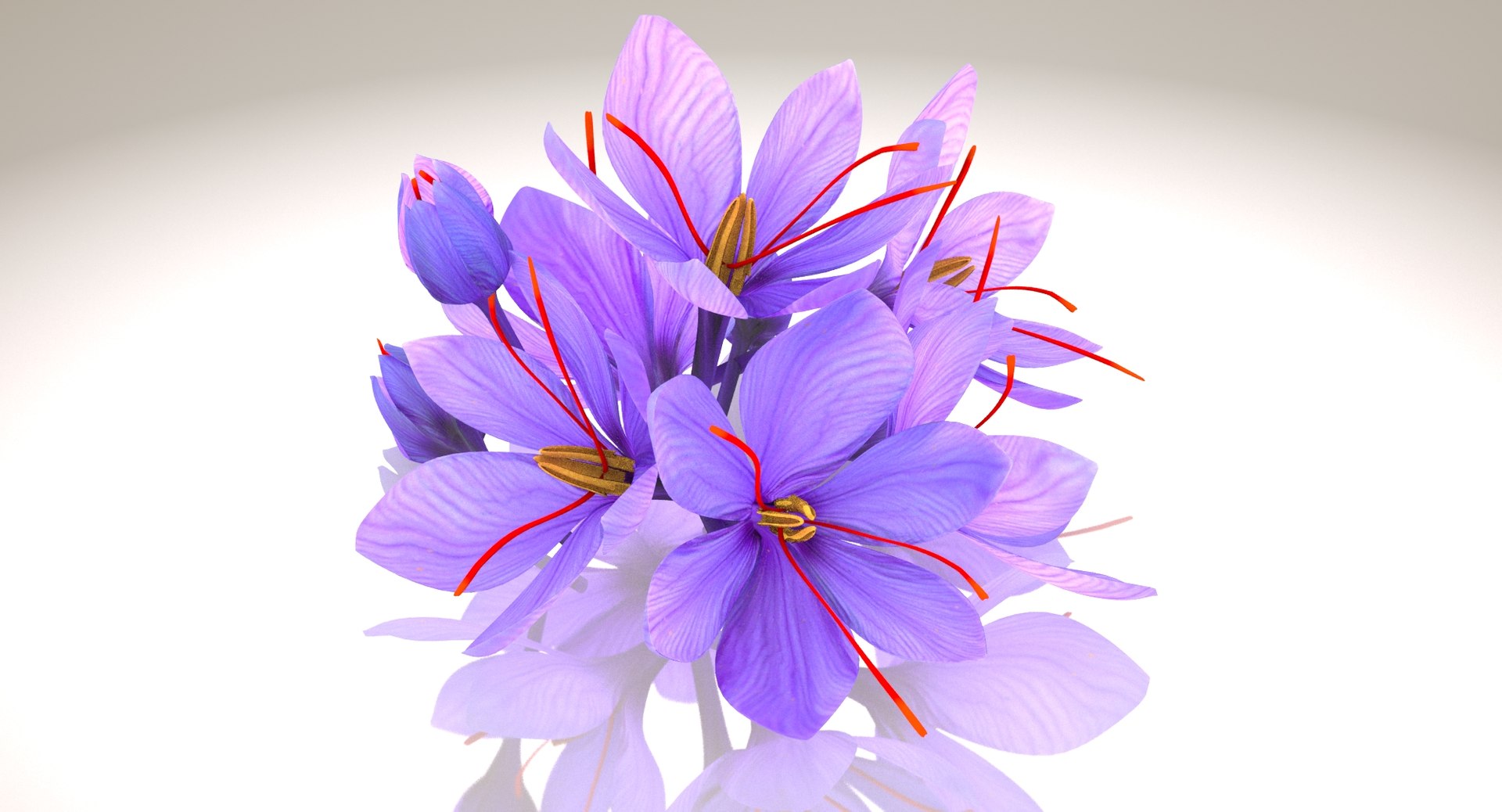 3D crocus blossom https://p.turbosquid.com/ts-thumb/1t/rdfFlk/U0qmq9qI/un_productshot0001/jpg/1561563332/1920x1080/fit_q87/d2d3b27c343dfb67f84676b1758d336bc6d68e3d/un_productshot0001.jpg