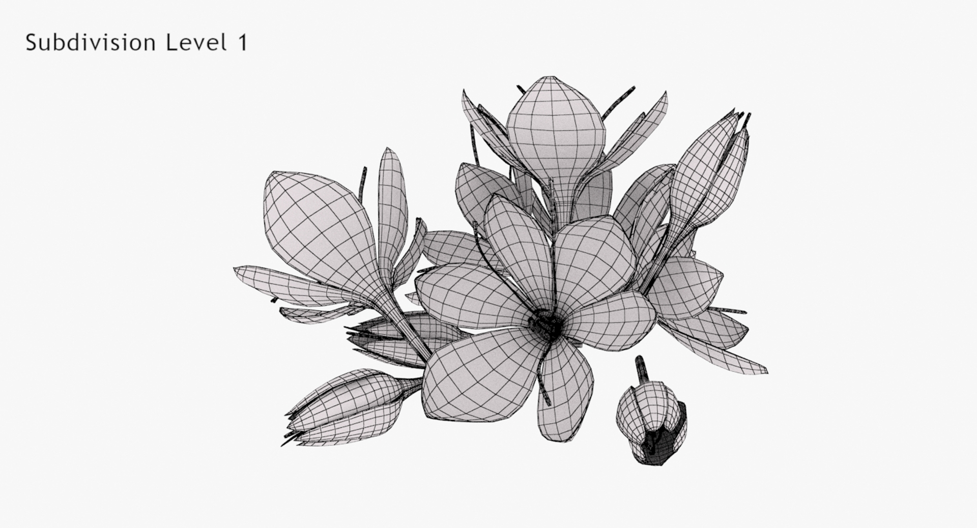 3D crocus blossom https://p.turbosquid.com/ts-thumb/1t/rdfFlk/bFe23zMc/turn_lodone/jpg/1561563452/1920x1080/turn_fit_q99/9f250fb574a22eccff2c3b9c234023512469b16f/turn_lodone-1.jpg