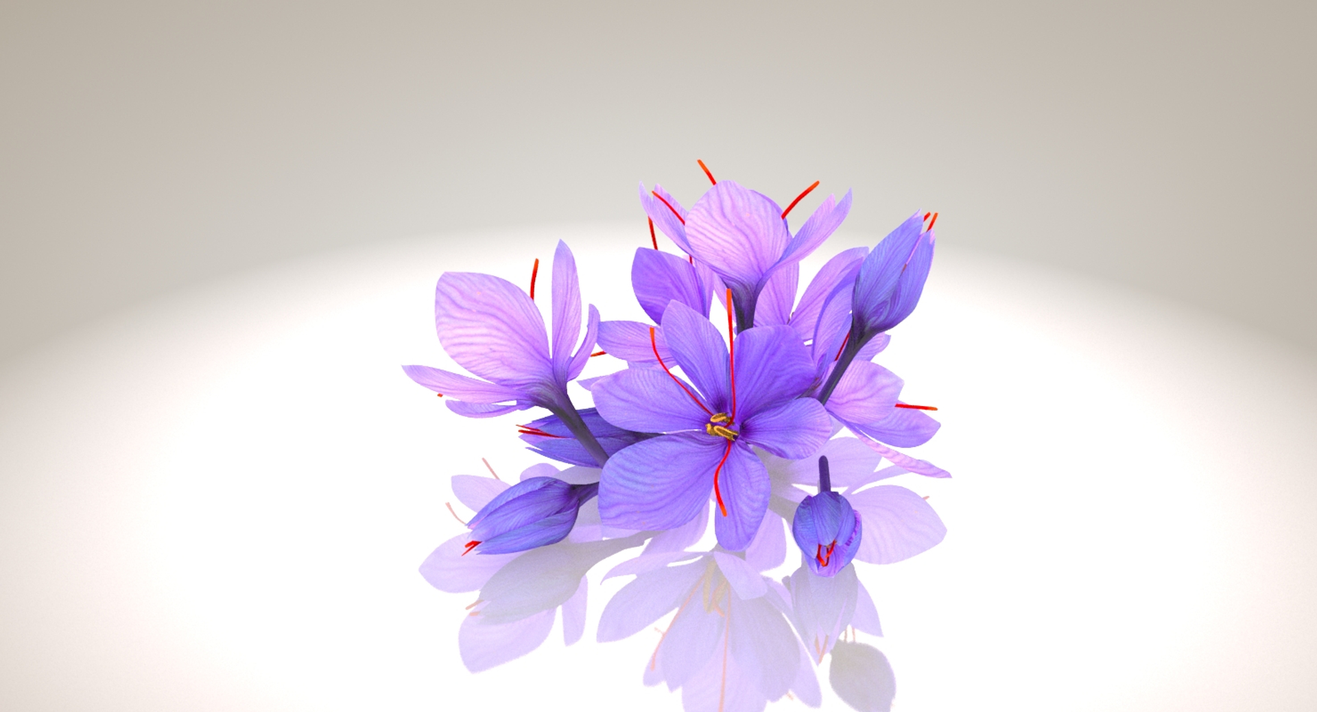 3D crocus blossom https://p.turbosquid.com/ts-thumb/1t/rdfFlk/m4TP6B0t/turn_product/jpg/1561563466/1920x1080/turn_fit_q99/efcbac30e6bcf754d68de26200ce54824c955901/turn_product-1.jpg