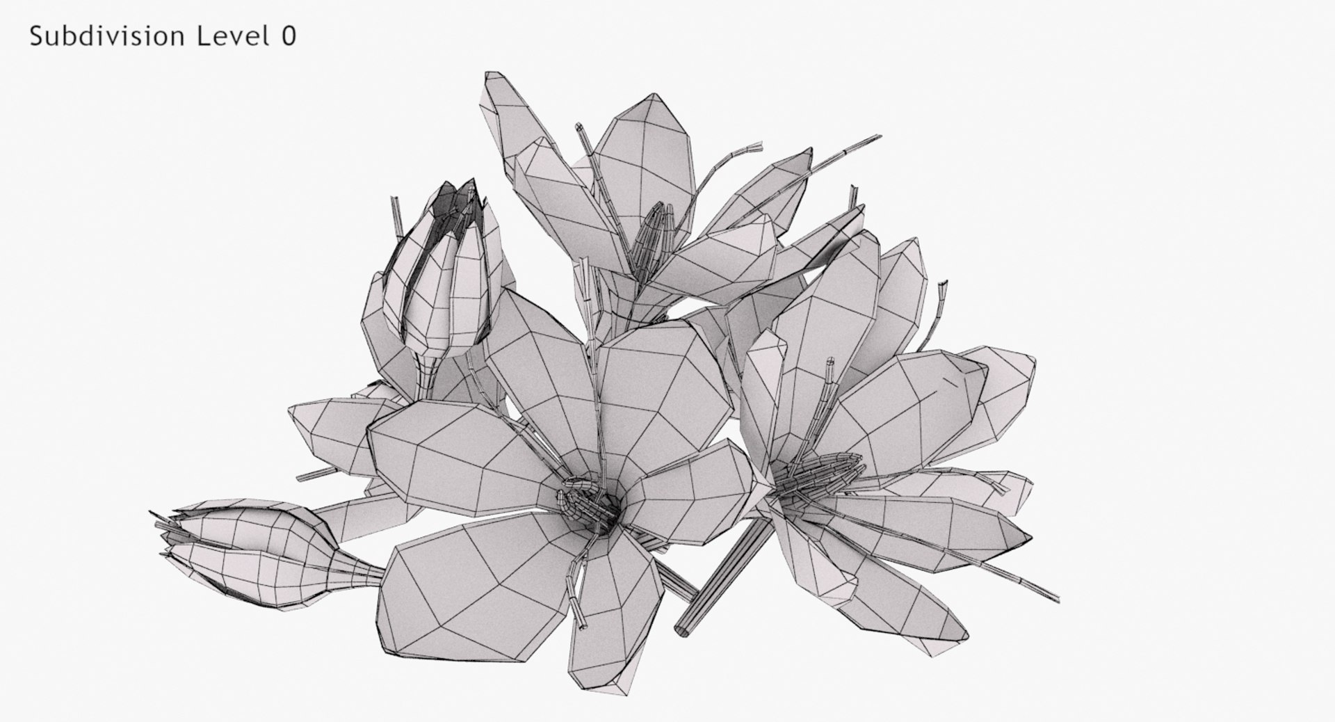 3D crocus blossom https://p.turbosquid.com/ts-thumb/1t/rdfFlk/qPNCdzNd/un_wwire0002/jpg/1563696018/1920x1080/fit_q87/2df0dade26ad8efc2a2742d2c8bedfc969968977/un_wwire0002.jpg